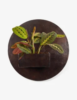 Larayne Circle Wall Planter