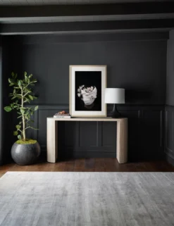 Nambi: Pose II, WOVEN Series Photography Print By Ashley Johnson -Home Decor Sale 20210526 ConsoleArtVignette 7204 NOART scaled