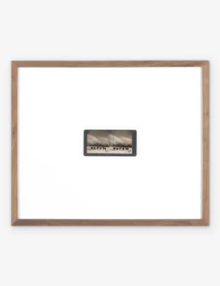 Monarch Of The Plain Photography Print By Gold Rush Art Co