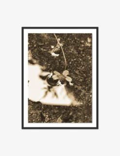 After The Rain II Photography Print By Getty Images