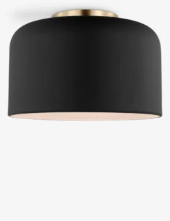 Olaf Flush Mount Light