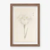Vintage Japanese Iris No. 10 Wall Art By Miyoshi Manabu