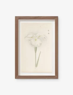 Vintage Japanese Iris No. 10 Wall Art By Miyoshi Manabu