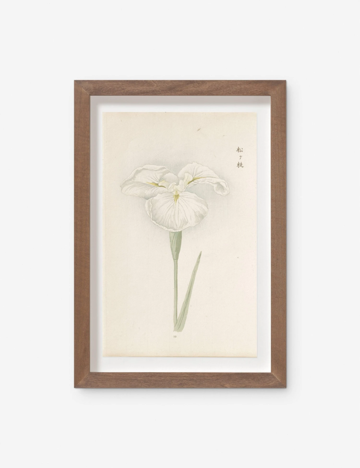Vintage Japanese Iris No. 10 Wall Art By Miyoshi Manabu 1 Vintage Japanese Iris No. 10 Wall Art By Miyoshi Manabu