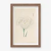 Vintage Japanese Iris No. 11 Wall Art By Miyoshi Manabu