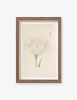 Vintage Japanese Iris No. 11 Wall Art By Miyoshi Manabu
