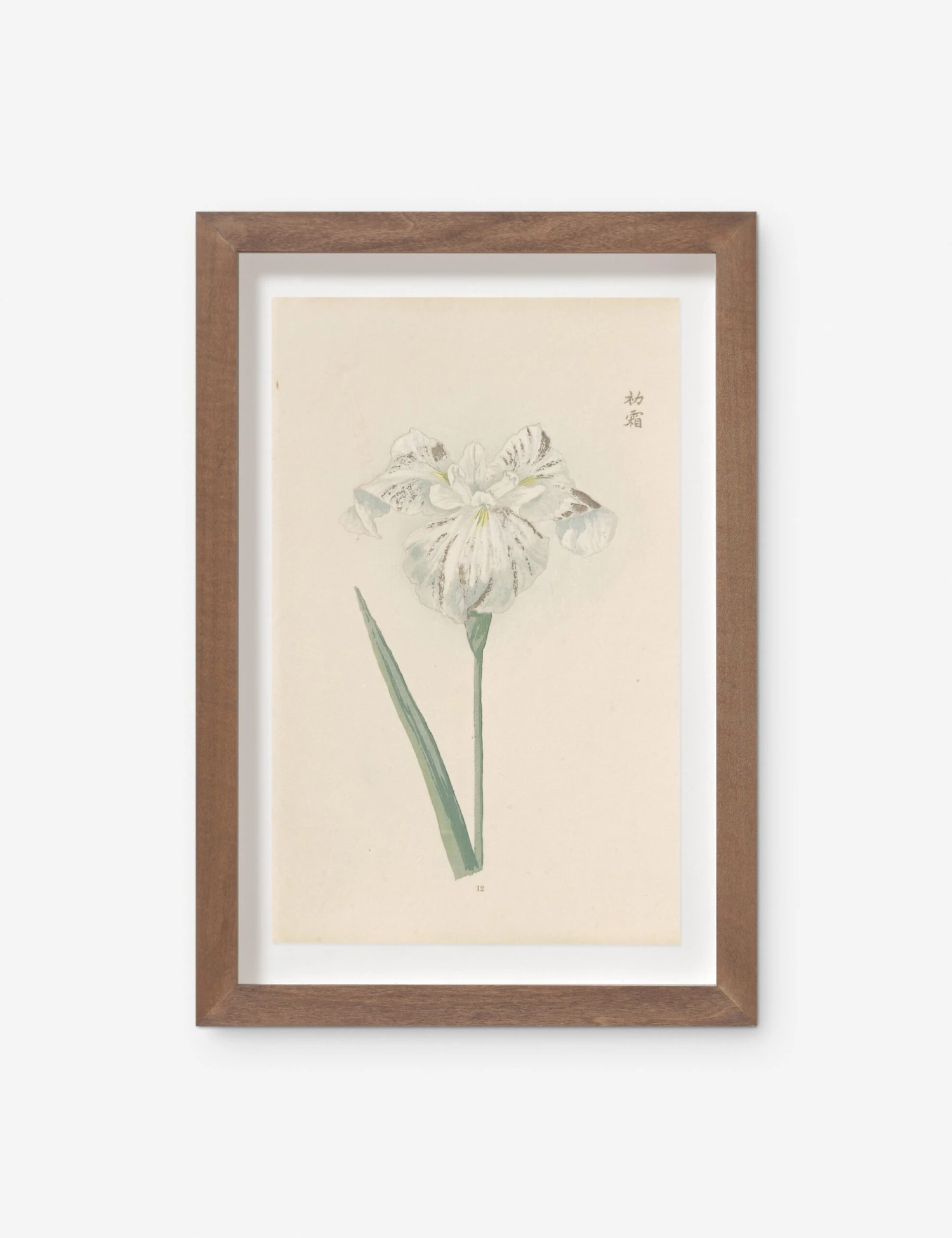 Vintage Japanese Iris No. 12 Wall Art By Miyoshi Manabu 1 Vintage Japanese Iris No. 12 Wall Art By Miyoshi Manabu