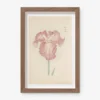 Vintage Japanese Iris No. 18 Wall Art By Miyoshi Manabu