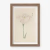 Vintage Japanese Iris No. 22 Wall Art By Miyoshi Manabu