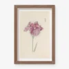 Vintage Japanese Iris No. 24 Wall Art By Miyoshi Manabu