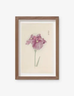 Vintage Japanese Iris No. 24 Wall Art By Miyoshi Manabu