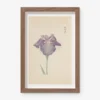 Vintage Japanese Iris No. 29 Wall Art By Miyoshi Manabu