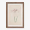Vintage Japanese Iris No. 34 Wall Art By Miyoshi Manabu