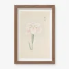 Vintage Japanese Iris No. 48 Wall Art By Miyoshi Manabu
