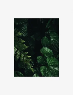 Still Life 14 Photography Print By Ashley Johnson -Home Decor Sale AshleyJohnsonStillLifePack7 14unframed scaled