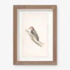 Vintage Bird Watercolor No. 00 Wall Art By Visual Contrast