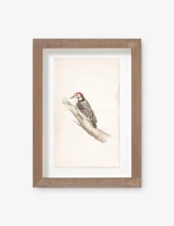 Vintage Bird Watercolor No. 00 Wall Art By Visual Contrast