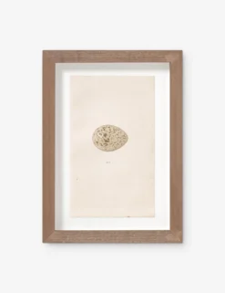 Vintage Bird Watercolor No. 305 Wall Art By Visual Contrast