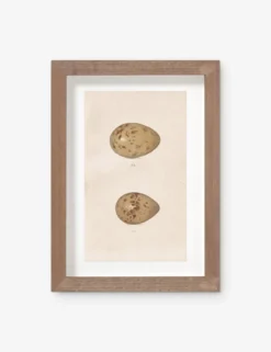 Vintage Bird Watercolor No. 312 Wall Art By Visual Contrast