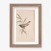 Vintage Bird Watercolor No. 60 Wall Art By Visual Contrast
