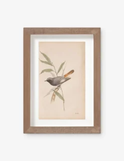 Vintage Bird Watercolor No. 60 Wall Art By Visual Contrast