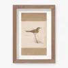 Vintage Bird Watercolor No. 61 Wall Art By Visual Contrast