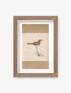 Vintage Bird Watercolor No. 61 Wall Art By Visual Contrast