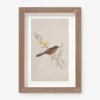 Vintage Bird Watercolor No. 69 Wall Art By Visual Contrast