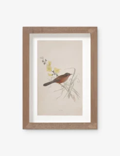 Vintage Bird Watercolor No. 69 Wall Art By Visual Contrast