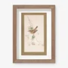 Vintage Bird Watercolor No. 74 Wall Art By Visual Contrast