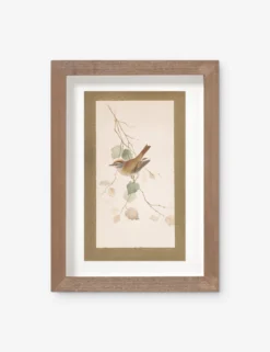 Vintage Bird Watercolor No. 74 Wall Art By Visual Contrast