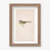 Vintage Bird Watercolor No. 76 Wall Art By Visual Contrast