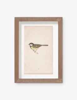 Vintage Bird Watercolor No. 76 Wall Art By Visual Contrast