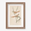 Vintage Bird Watercolor No. 82 Wall Art By Visual Contrast