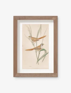 Vintage Bird Watercolor No. 82 Wall Art By Visual Contrast