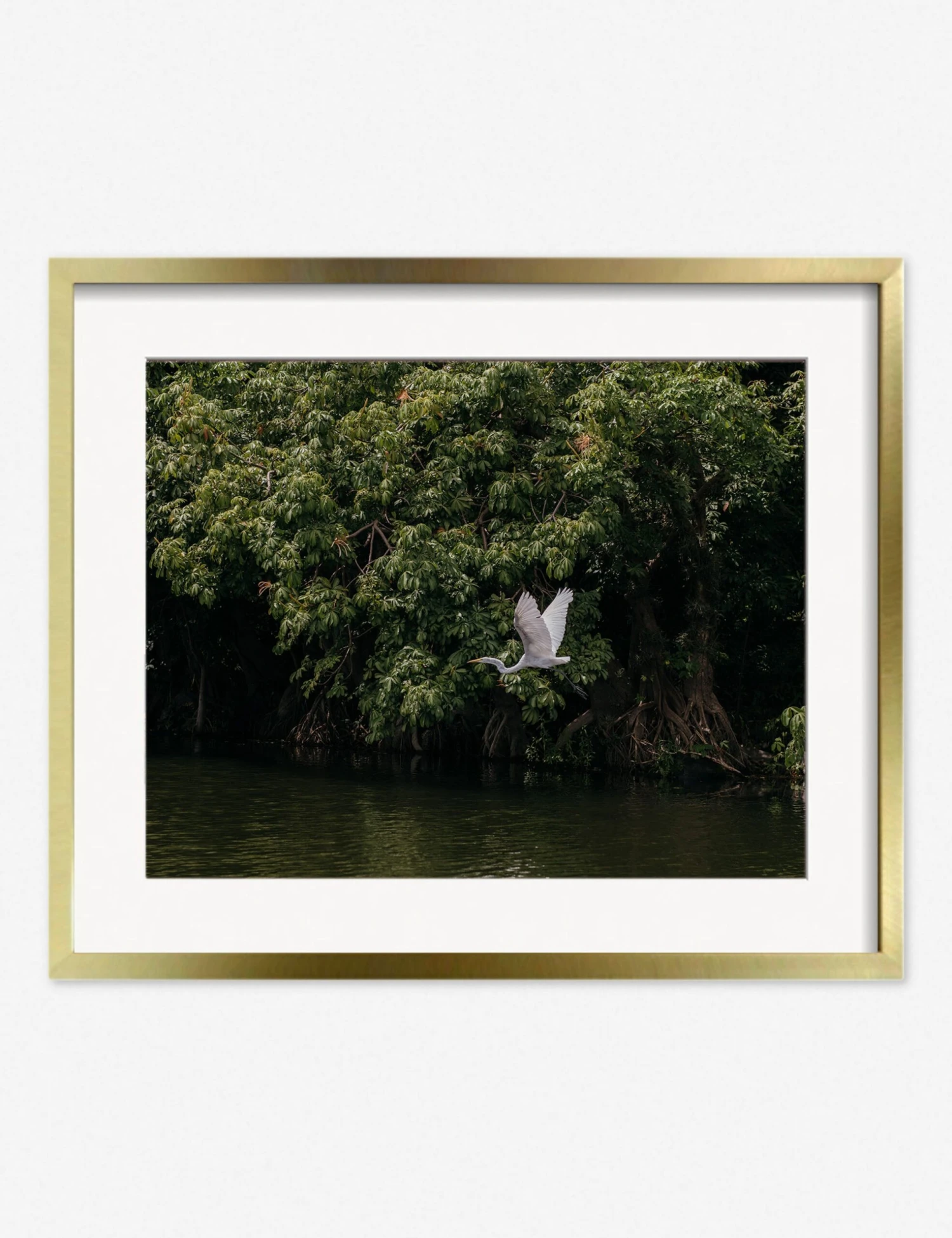 Lake Nicaragua Photography Print By Carley Rudd 6 Lake Nicaragua Photography Print By Carley Rudd - Image 6