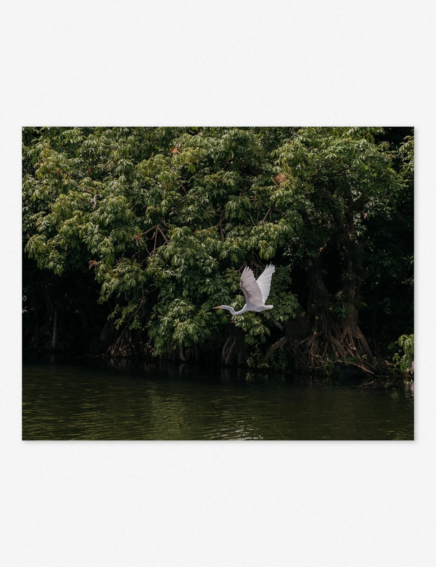 Lake Nicaragua Photography Print By Carley Rudd 2 Lake Nicaragua Photography Print By Carley Rudd - Image 2