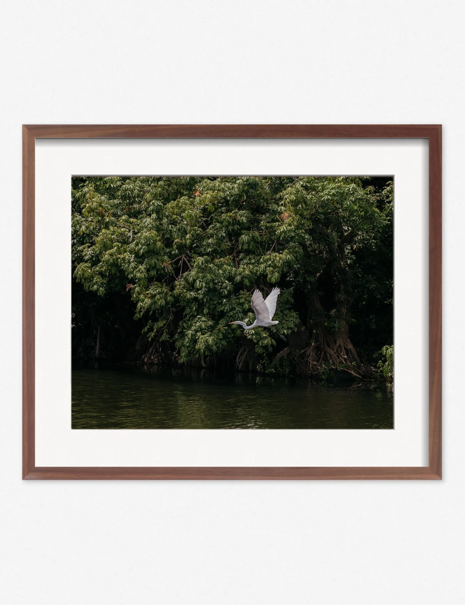 Lake Nicaragua Photography Print By Carley Rudd 4 Lake Nicaragua Photography Print By Carley Rudd - Image 4