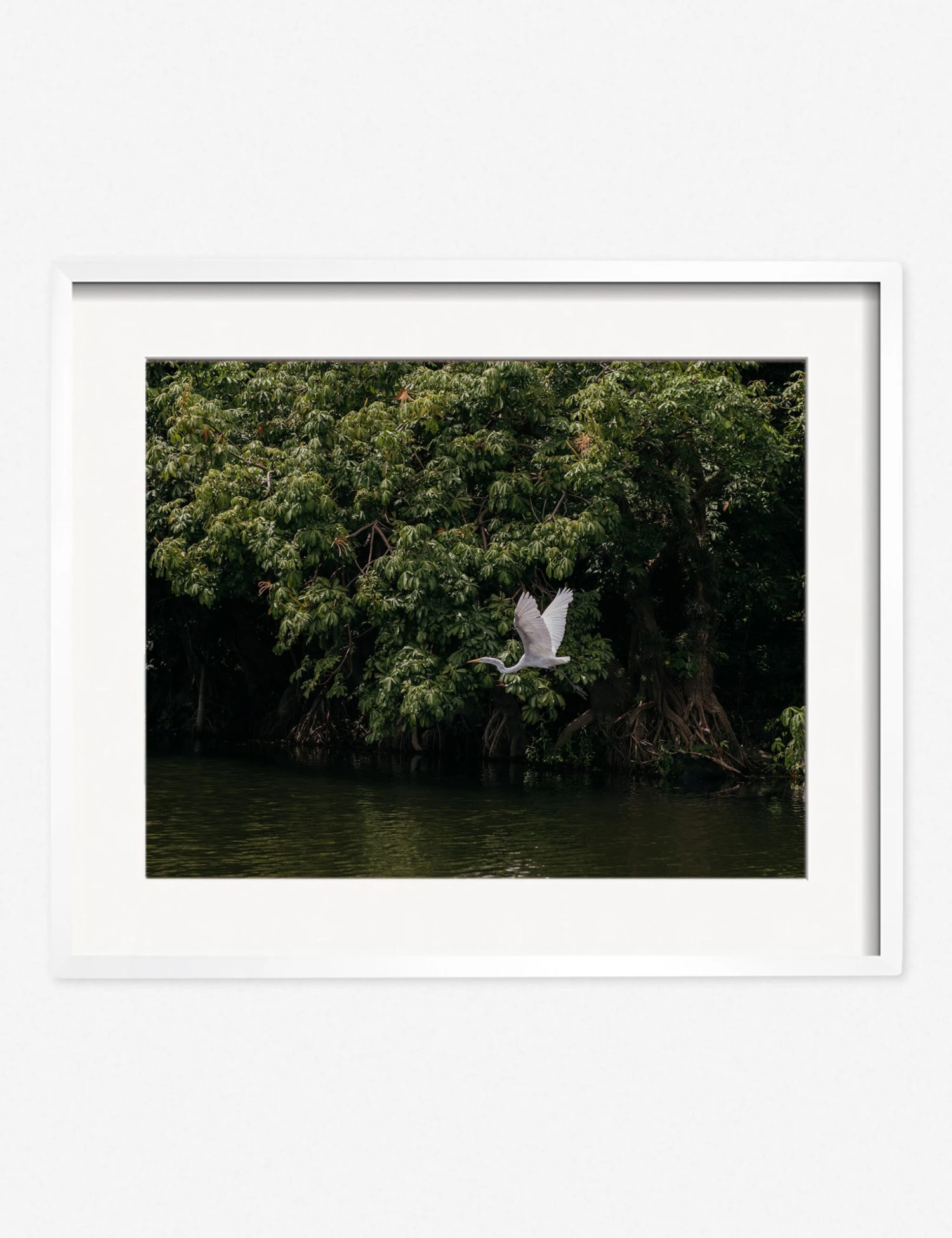 Lake Nicaragua Photography Print By Carley Rudd 5 Lake Nicaragua Photography Print By Carley Rudd - Image 5