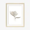 Pale Bouquet Print By Céline Nordenhed