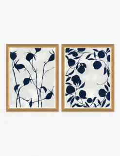 Ink On Paper Wall Art By Susan Hable (Set Of 2)