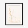 Wild Grass Photography Print By Ingrid Beddoes