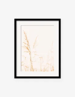 Wild Grass Photography Print By Ingrid Beddoes