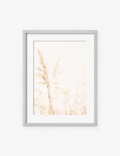 Wild Grass Photography Print By Ingrid Beddoes -Home Decor Sale IngridWildGrassSilverFrame