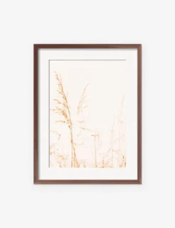 Wild Grass Photography Print By Ingrid Beddoes -Home Decor Sale IngridWildGrassWalnutFrame