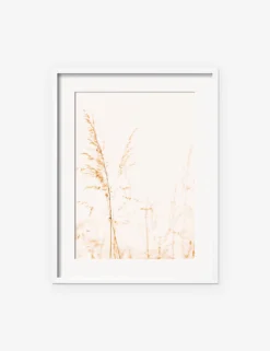 Wild Grass Photography Print By Ingrid Beddoes -Home Decor Sale IngridWildGrassWhiteFrame