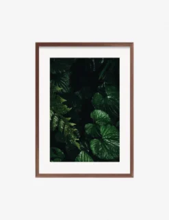 Still Life 14 Photography Print By Ashley Johnson -Home Decor Sale JohnsonStillLIfepack7 14Walnutframe scaled