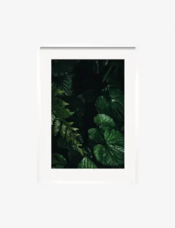 Still Life 14 Photography Print By Ashley Johnson -Home Decor Sale JohnsonStillLIfepack7 14Whiteframe scaled