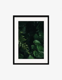 Still Life 14 Photography Print By Ashley Johnson