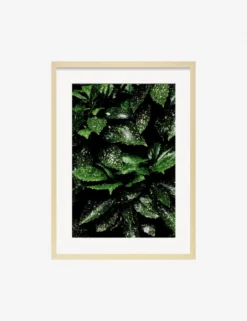 Still Life 7 Photography Print By Ashley Johnson -Home Decor Sale JohnsonStillLifePack7 7naturalframe scaled